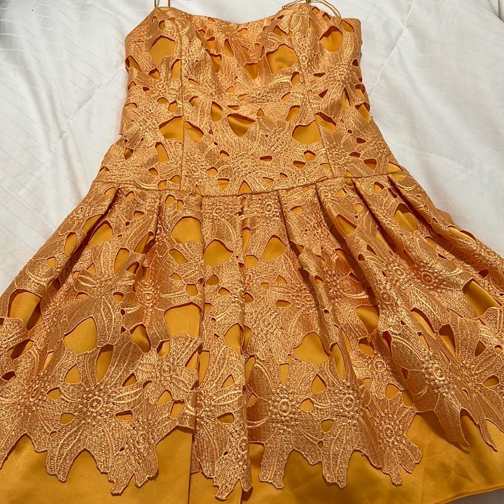 Beautiful bran new Adriana Papell dress